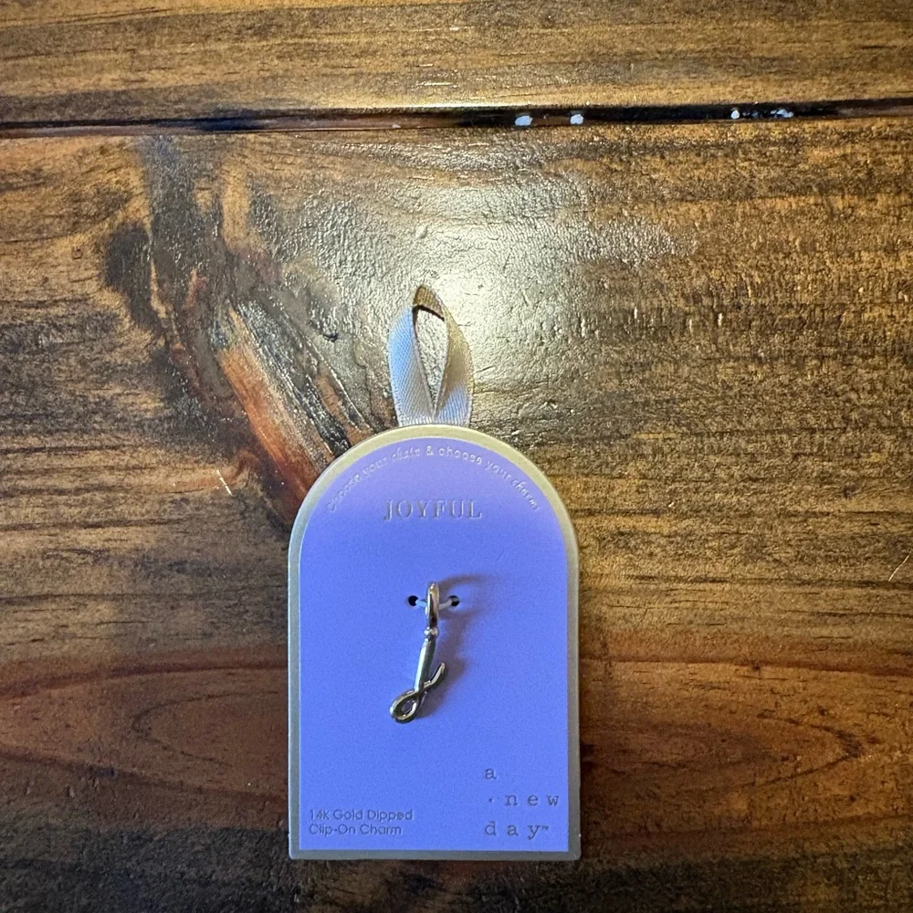 Gold Dipped Joyful Charm